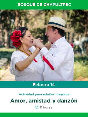 BANNERS_febrero_web-01.png